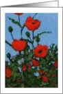 Any Occasion with Poppy Flowers Painting Floral Art No Words card