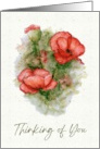 Thinking of You General with Watercolor Poppy Flowers Art card