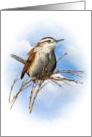All Occasion With Artwork of Wren Bird Wildlife Pastel Illustration card