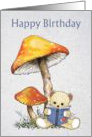 Happy Birthday For Child With Teddy Bear and Toadstools Illustration card