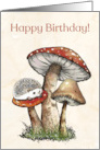 Happy Birthday For Child With Hedgehog and Toadstools Illustration card