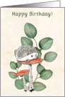 Happy Birthday For Child With Hedgehog Toadstools Eucalyptus Leaves card