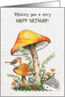 General Birthday with Mushrooms Bird and Hedgehog Illustration card