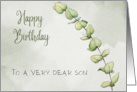 Happy Birthday to Estranged Son with Simple Eucalyptus Leaves card