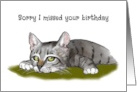Belated Birthday General with Lazy Cat Humor Sorry I Missed It card