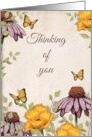 Thinking of You General with Cone Flowers and Yellow Poppies Art card