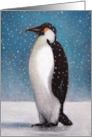 It’s Lonely Here Without You Lone Penguin Standing In Falling Snow card