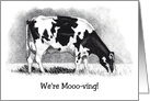 Moving Announcement with Holstein Cow, Pun We are Moo-ving card