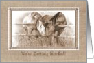 Western Wedding Invitation We’re Getting Hitched Horses Nuzzling card