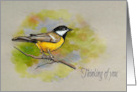 Thinking of You General Encouragement with Bird on Branch Art card