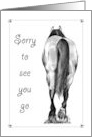 Sorry To See You Go Good Bye Drawing of Horse Walking Away card