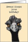 Belated Birthday, Humor, Seems I Forgot with Frazzled Emu card