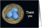 Hospitality Thank You Sharing Your Nest Blue Bird Eggs Illustration card