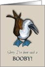 Apology: Sorry I’ve Been Such A Booby: Booby Bird In Pastel card