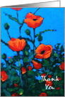 Thank You, General Thanks, Painting of Bright Red Poppies on Blue card