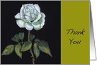 Thank You, White Rose, General Thanks, Floral Art, Simple and Elegant card