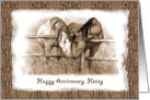Anniversary Spouse: Two Horses Nuzzling, Sepia card