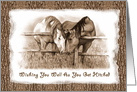 Wedding Congratulations Getting Hitched: Two Horses Nuzzling, Sepia card