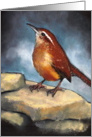 Carolina Wren: Wildlife Art, Blank Inside card