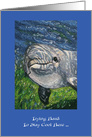 Congratulations, Heard Your Big News, Dolphin, Trying To Stay Cool! card