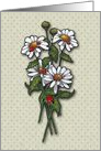 Any Occasion, Blank Inside Daisies and Ladybugs with Tiny Dots card