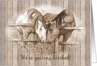 Western Wedding Invitation We’re Getting Hitched Nuzzling Horses card