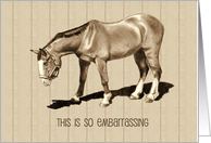 Belated Thank You: Embarrassing, Horse With Drooping Head, Humor card