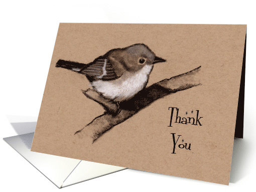 Thank You: Little Fluffy Bird, Charcoal Drawing: General Thanks card