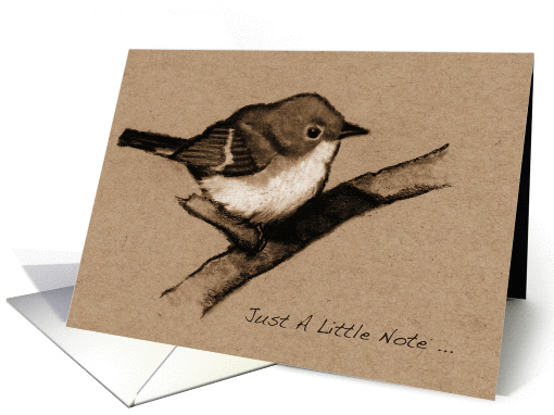Just A Note ... Little Fluffy Bird; Charcoal Drawing:... (1065287)