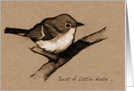 Just A Note ... Little Fluffy Bird; Charcoal Drawing: Blank Inside card
