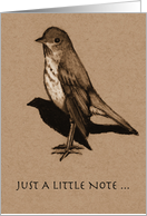 Just A Note ... Hermit Thrush, Bird; Charcoal Drawing: Blank Inside card