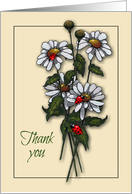 Thank You, General Thanks with Daisies and Ladybugs, Illustration card