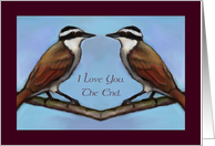 I Love You. The End. Anniversary to Spouse: Birds, Face to Face: Humor card