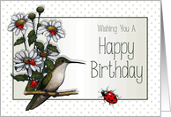 General Birthday, Ladybugs, Hummingbird, Daisies: Original Art card