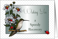 Speedy Recovery: Ladybugs, Hummingbird, Daisies: Original Art card