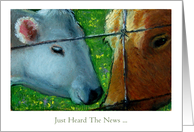Just Heard The News, General Congratulations, Two Cows, Oil Pastel Art card