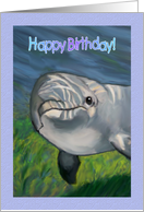 Happy Birthday to Boy: Dolphin Illustration: To A Really Cool Dude card