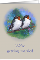 We’re Getting Married: Bird Couple With Open Beaks on Branch card