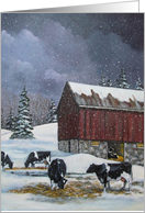 Holstein Cows in Snow, Old Red Barn: Painting, Blank Card