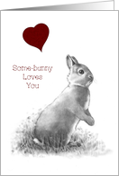 Valentine Bunny:...