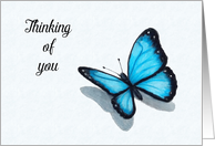 Thinking of You, Encouragement, Blue Butterfly, Color Pencil Drawing card