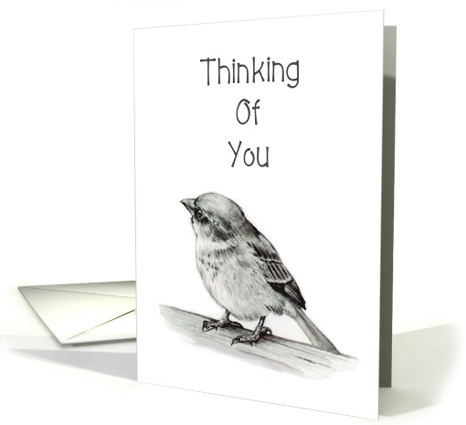 Thinking Of You, General, Small Bird Pencil Drawing, Elegant card