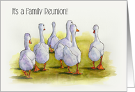 Family Reunion, Gaggle of Geese Walking, Watercolor Art, Invitation card