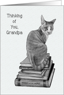 Coronavirus Isolation,Thinking of You, Grandpa, Cat, Books, Pencil Art card