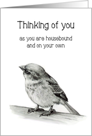 Coronavirus Isolation, Thinking of You, On Your Own, Bird, Pencil card