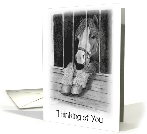 Coronavirus, Thinking of You, Cute Pony in Stall, Pencil... (1609994)