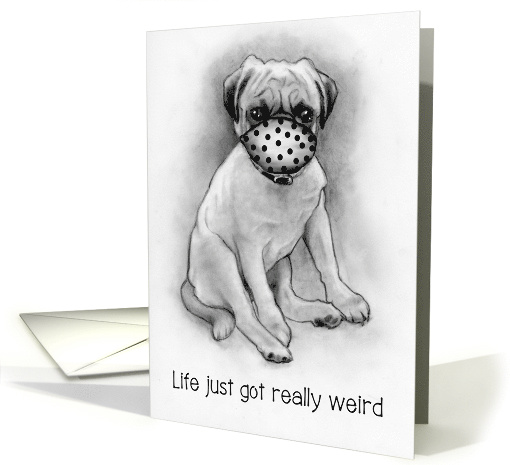Coronavirus, Pug Dog With Mask, Missing You, Pencil Art,... (1610410)