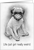 Coronavirus, Pug Dog With Mask, Missing You, Pencil Art, Life Weird card