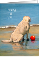 Thinking of You, Dog on Beach, Red Ball, Painting, Encouragement card