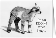 I’m Not Kidding When I Say I Love You, Baby Goat, Kid: Pencil Drawing card